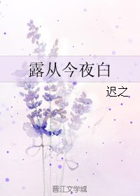 露从今夜白