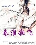 秦淮歌飞