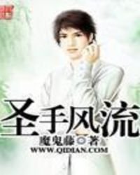 圣手风流