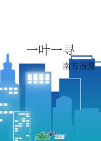 一叶一寻