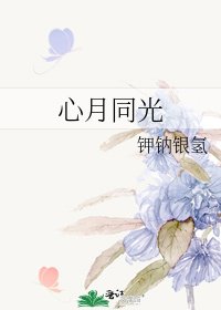 心月同光