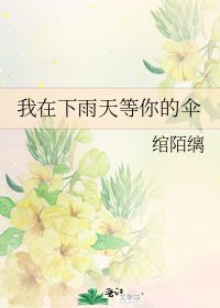 我在下雨天等你的傘