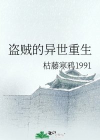盗贼的异世重生