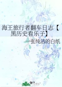 海王旅行者翻车日志【黑历史看乐子】