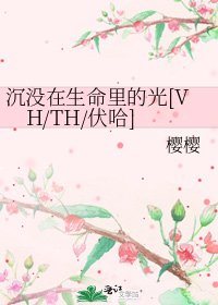 沉没在生命里的光[VH/TH/伏哈]