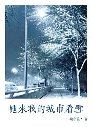她来我的城市看雪